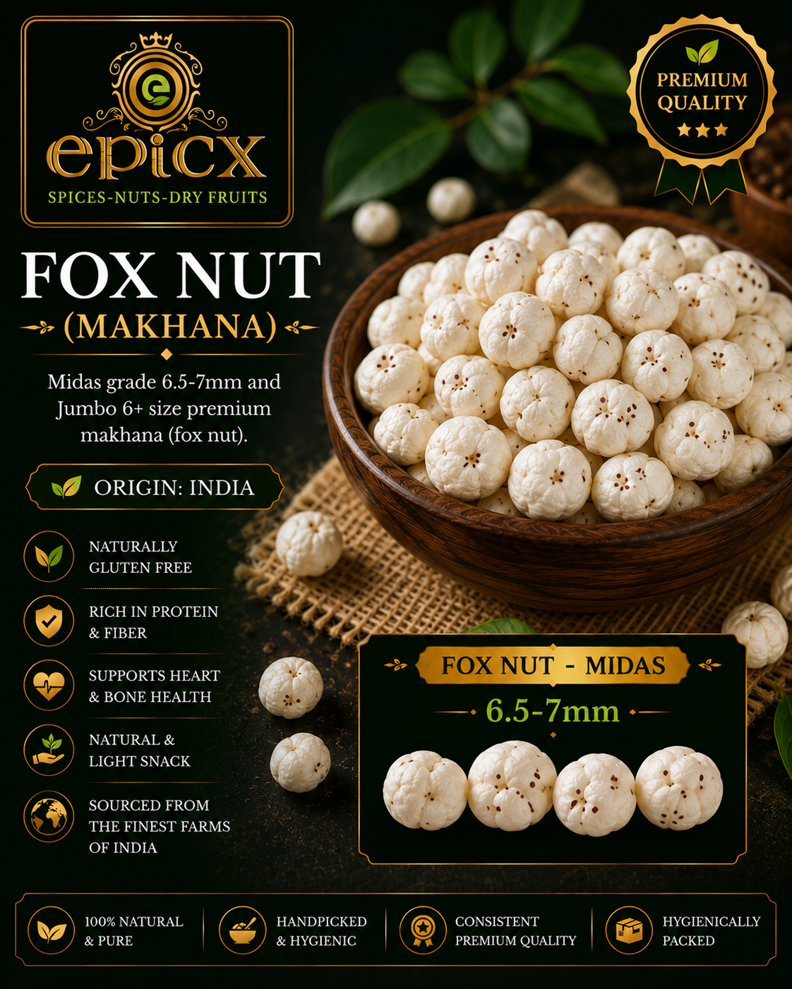 Fox Nut - Midas